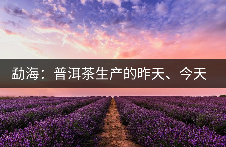 勐海：普洱茶生產(chǎn)的昨天、今天、明天