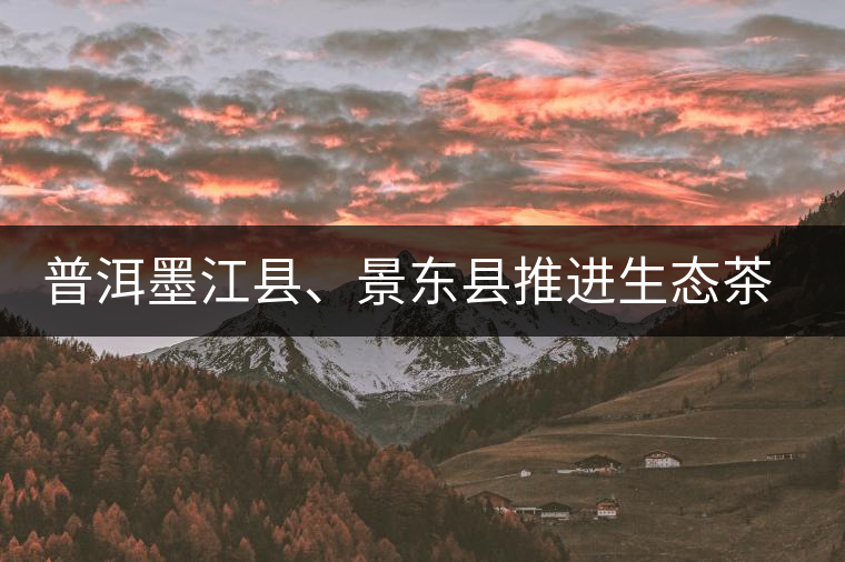 普洱墨江縣、景東縣推進(jìn)生態(tài)茶園建設(shè)