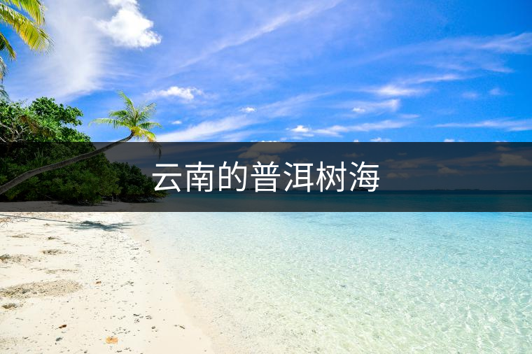 云南的普洱樹(shù)海