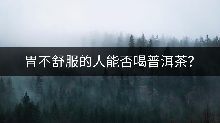 胃不舒服的人能否喝普洱茶？