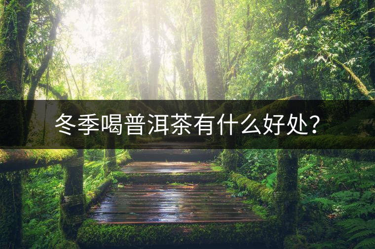 冬季喝普洱茶有什么好處？