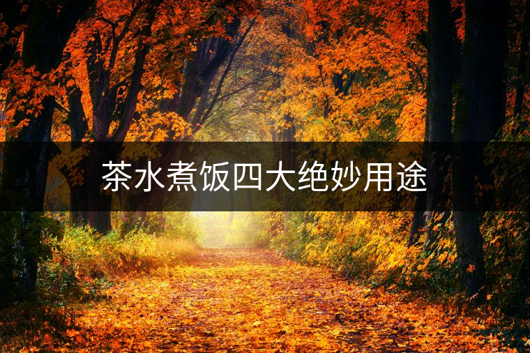 茶水煮飯四大絕妙用途