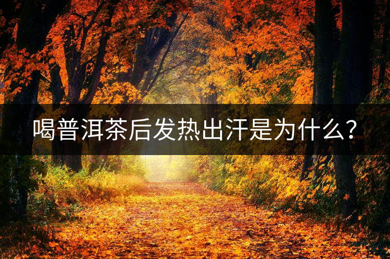 喝普洱茶后發(fā)熱出汗是為什么？