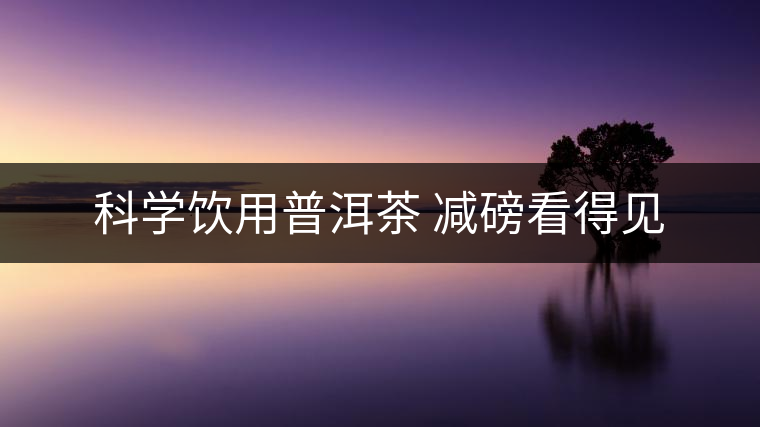 科學飲用普洱茶 減磅看得見 科學飲用普洱茶 減磅看得見