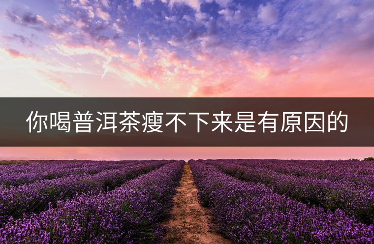 你喝普洱茶瘦不下來(lái)是有原因的
