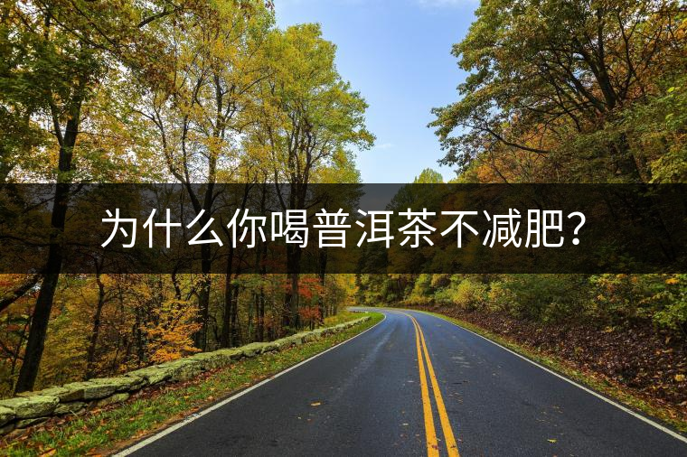 為什么你喝普洱茶不減肥？