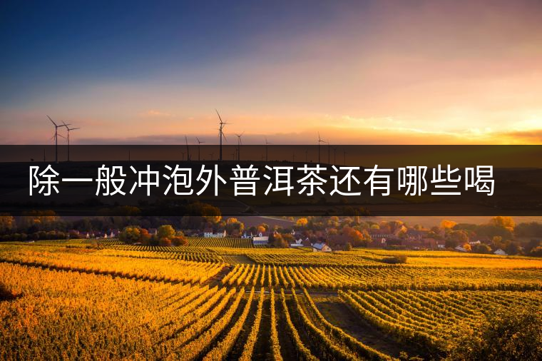 除一般沖泡外普洱茶還有哪些喝法？