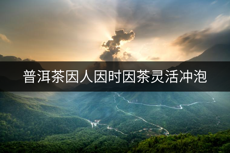 普洱茶因人因時因茶靈活沖泡 普洱茶因人因時因茶靈活沖泡