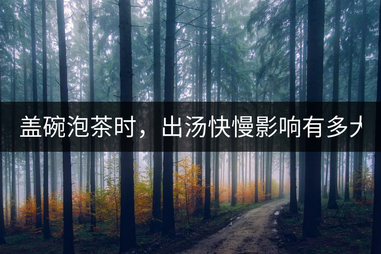 蓋碗泡茶時，出湯快慢影響有多大？