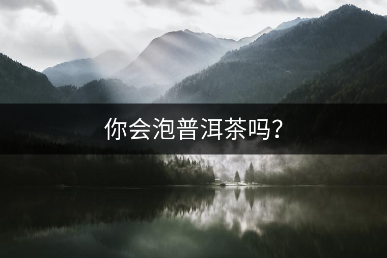 你會泡普洱茶嗎？