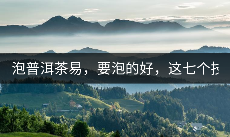 泡普洱茶易，要泡的好，這七個(gè)技巧很重要！