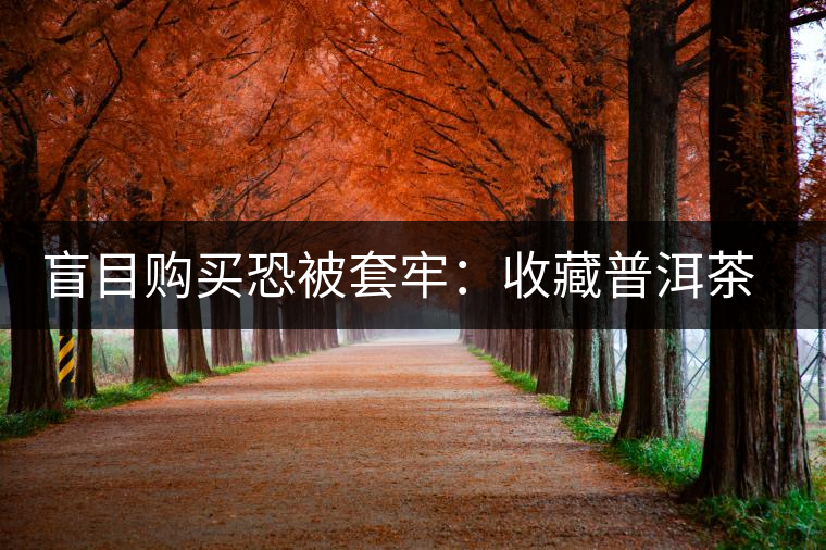 盲目購(gòu)買恐被套牢:收藏普洱茶首先得好喝 盲目購(gòu)買恐被套牢:收藏普洱茶首先得好喝