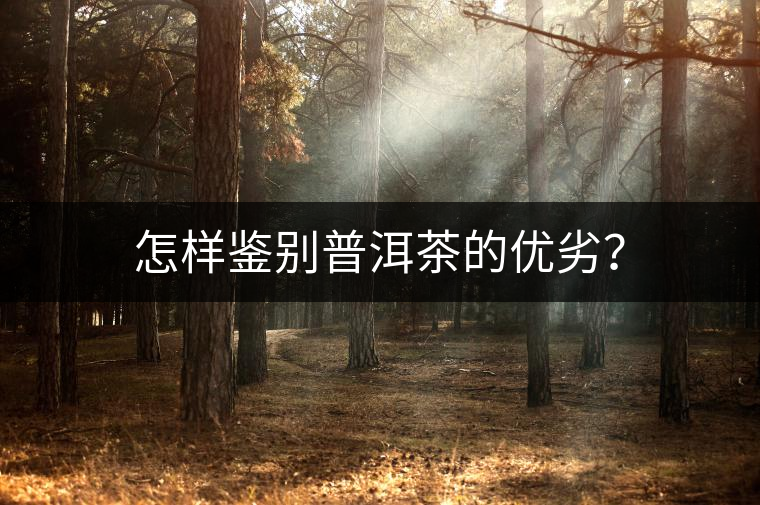 怎樣鑒別普洱茶的優(yōu)劣？