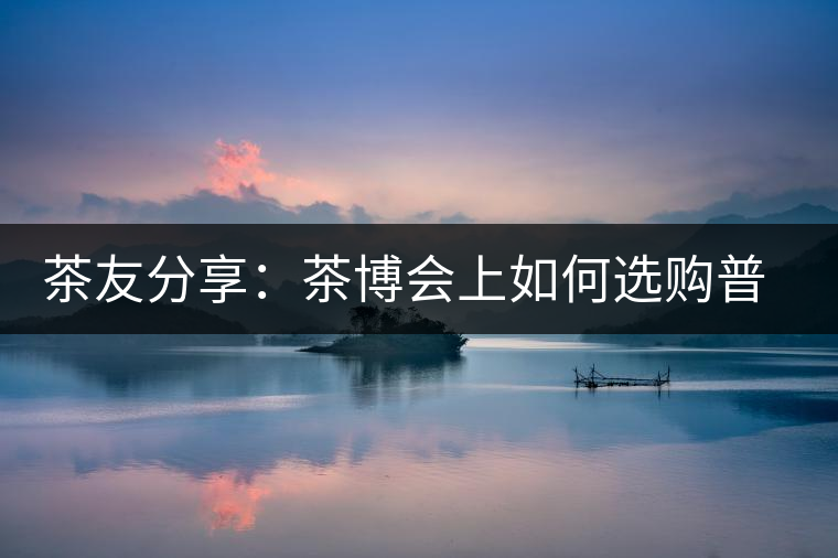 茶友分享：茶博會上如何選購普洱茶？