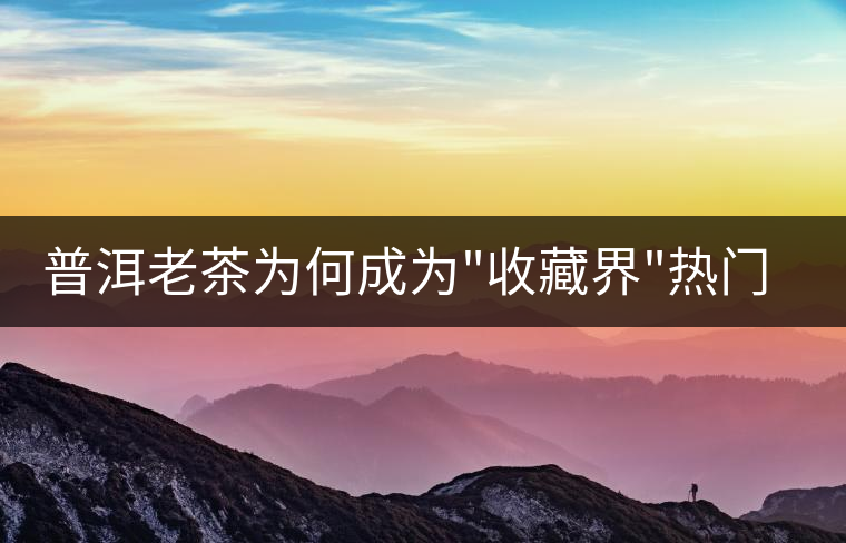 普洱老茶為何成為 普洱老茶為何成為