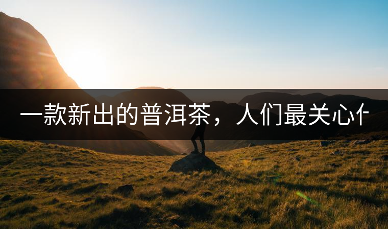 一款新出的普洱茶，人們最關(guān)心什么?