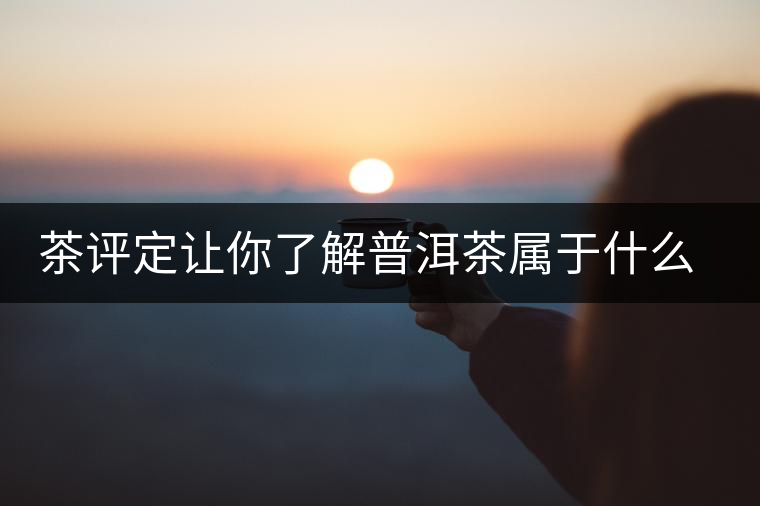 茶評定讓你了解普洱茶屬于什么茶系？