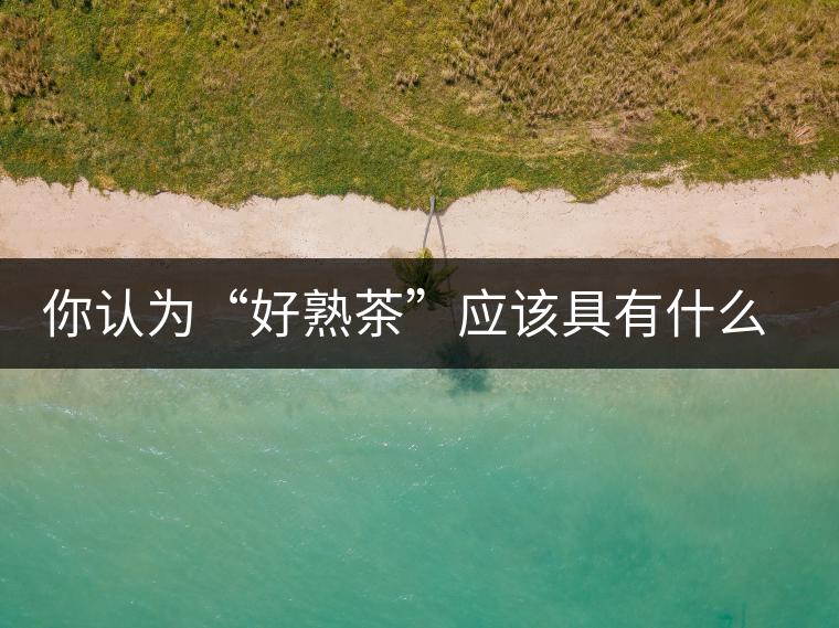 你認為“好熟茶”應(yīng)該具有什么樣的標準？