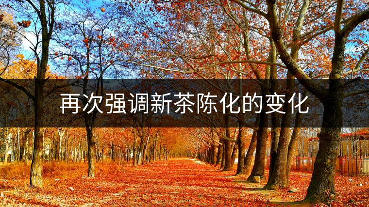 再次強(qiáng)調(diào)新茶陳化的變化 再次強(qiáng)調(diào)新茶陳化的變化