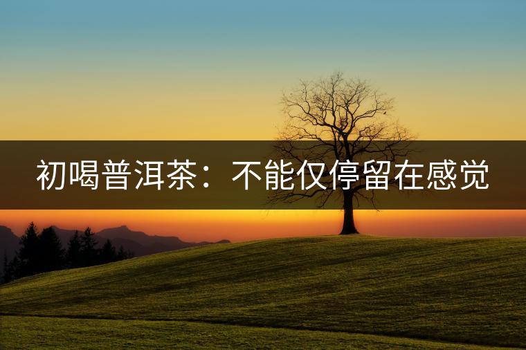 初喝普洱茶：不能僅停留在感覺(jué)