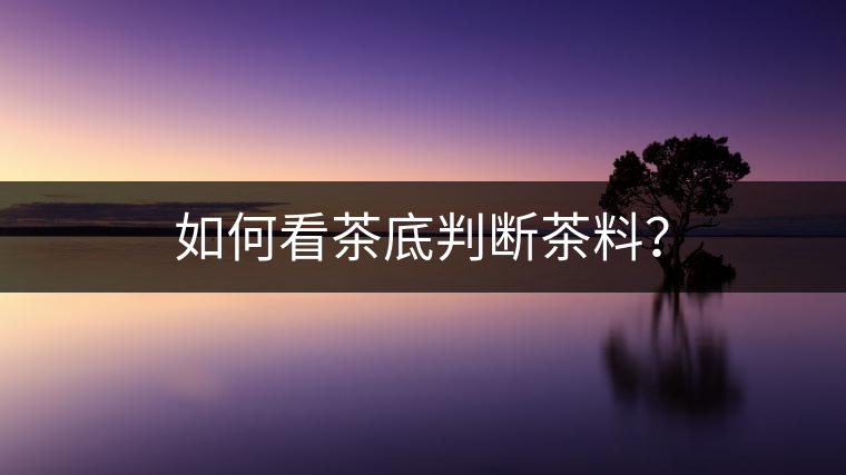 如何看茶底判斷茶料？
