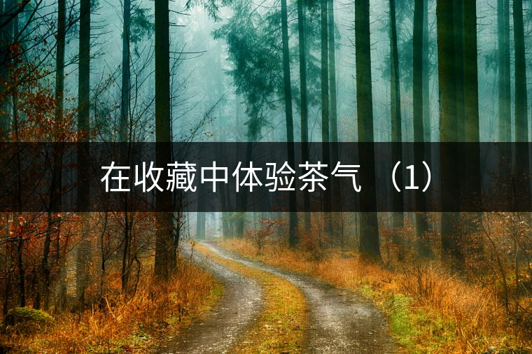 在收藏中體驗(yàn)茶氣 （1）