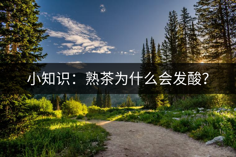 小知識(shí)：熟茶為什么會(huì)發(fā)酸？