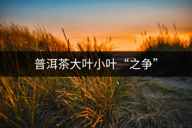 普洱茶大葉小葉“之爭(zhēng)”