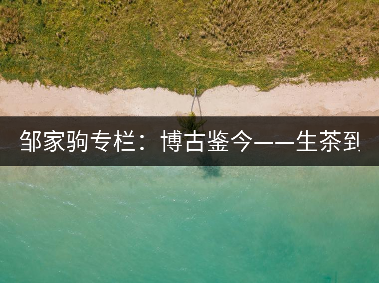 鄒家駒專欄：博古鑒今——生茶到底是不是普洱茶？