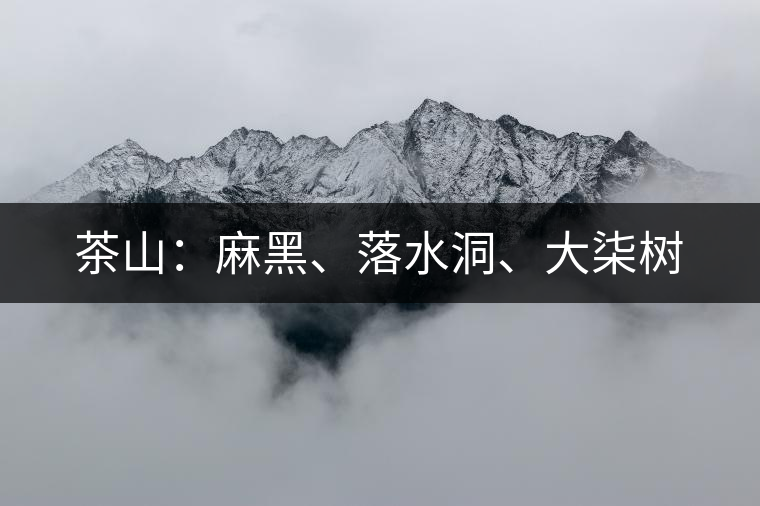 茶山：麻黑、落水洞、大柒樹