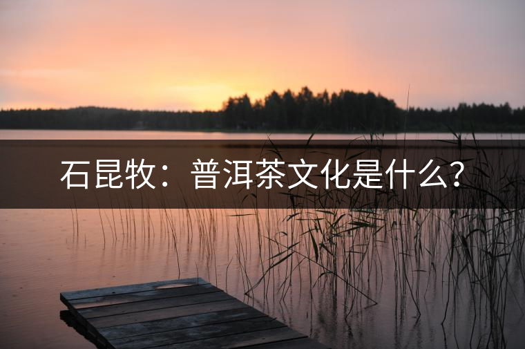 石昆牧：普洱茶文化是什么？