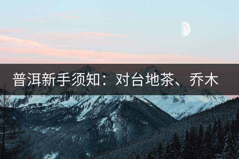 普洱新手須知：對(duì)臺(tái)地茶、喬木茶、古樹茶的簡(jiǎn)易理解