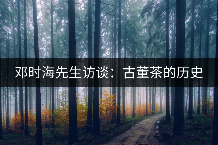 鄧時海先生訪談:古董茶的歷史 鄧時海先生訪談:古董茶的歷史