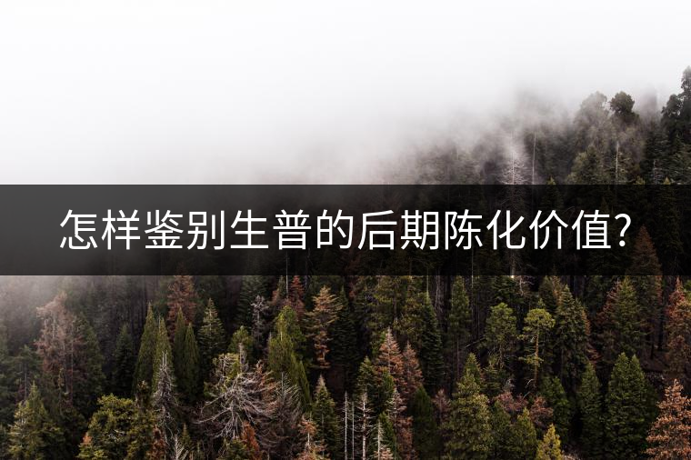 怎樣鑒別生普的后期陳化價值?
