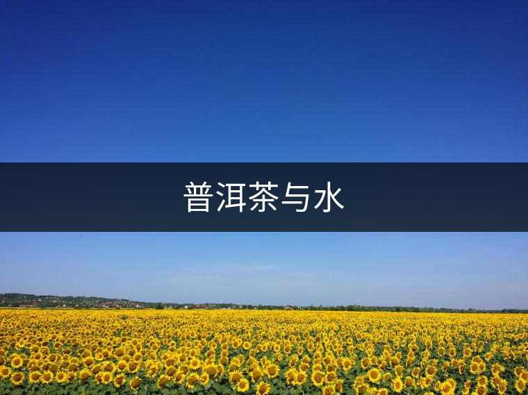 普洱茶與水