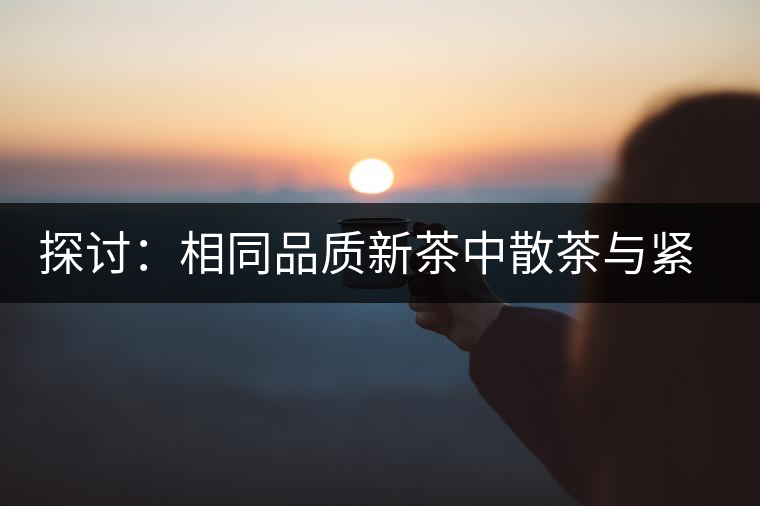 探討：相同品質(zhì)新茶中散茶與緊壓茶哪個(gè)好？