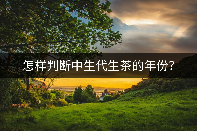 怎樣判斷中生代生茶的年份？