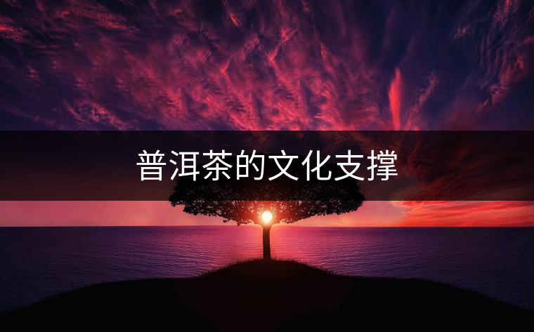 普洱茶的文化支撐