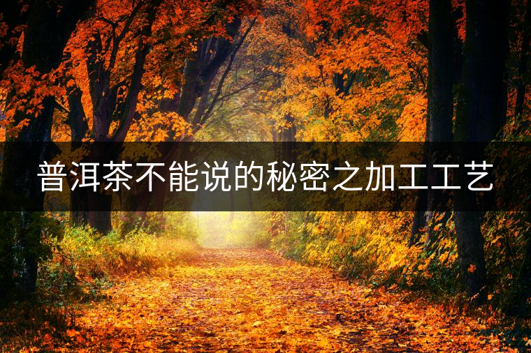 普洱茶不能說(shuō)的秘密之加工工藝