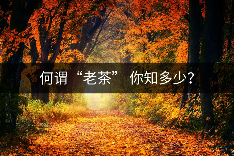 何謂“老茶” 你知多少？