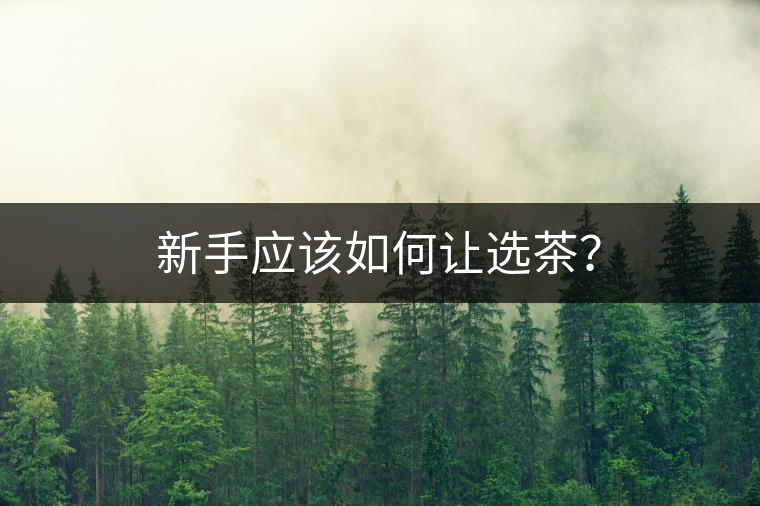 新手應(yīng)該如何讓選茶？