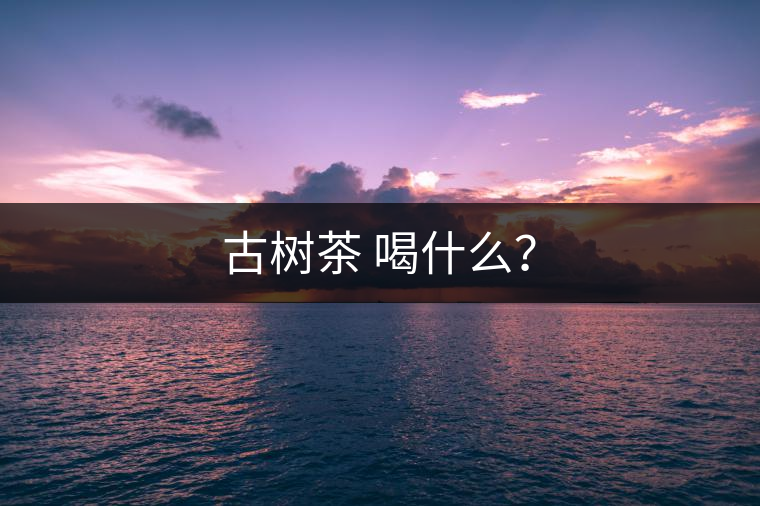 古樹茶 喝什么？