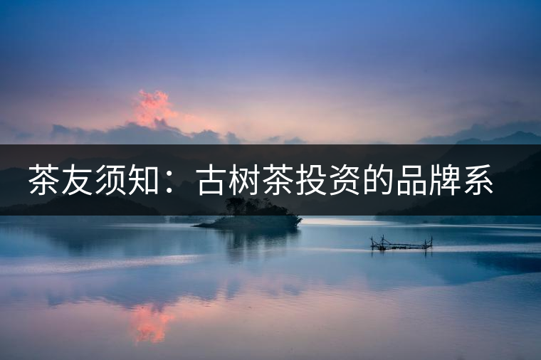 茶友須知：古樹茶投資的品牌系數(shù)分析