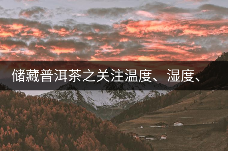 儲(chǔ)藏普洱茶之關(guān)注溫度、濕度、異味因素影響