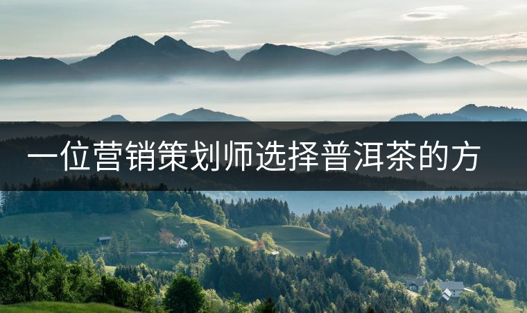 一位營銷策劃師選擇普洱茶的方法 一位營銷策劃師選擇普洱茶的方法