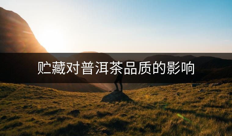 貯藏對普洱茶品質(zhì)的影響