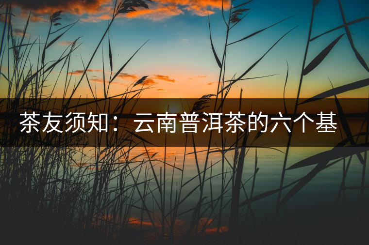 茶友須知：云南普洱茶的六個基本問題