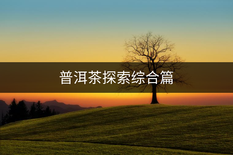 普洱茶探索綜合篇 普洱茶探索綜合篇