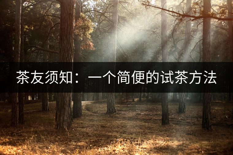 茶友須知：一個簡便的試茶方法