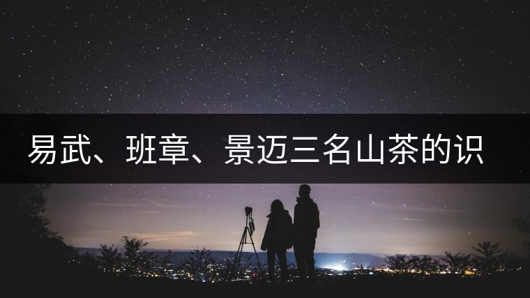 易武、班章、景邁三名山茶的識別